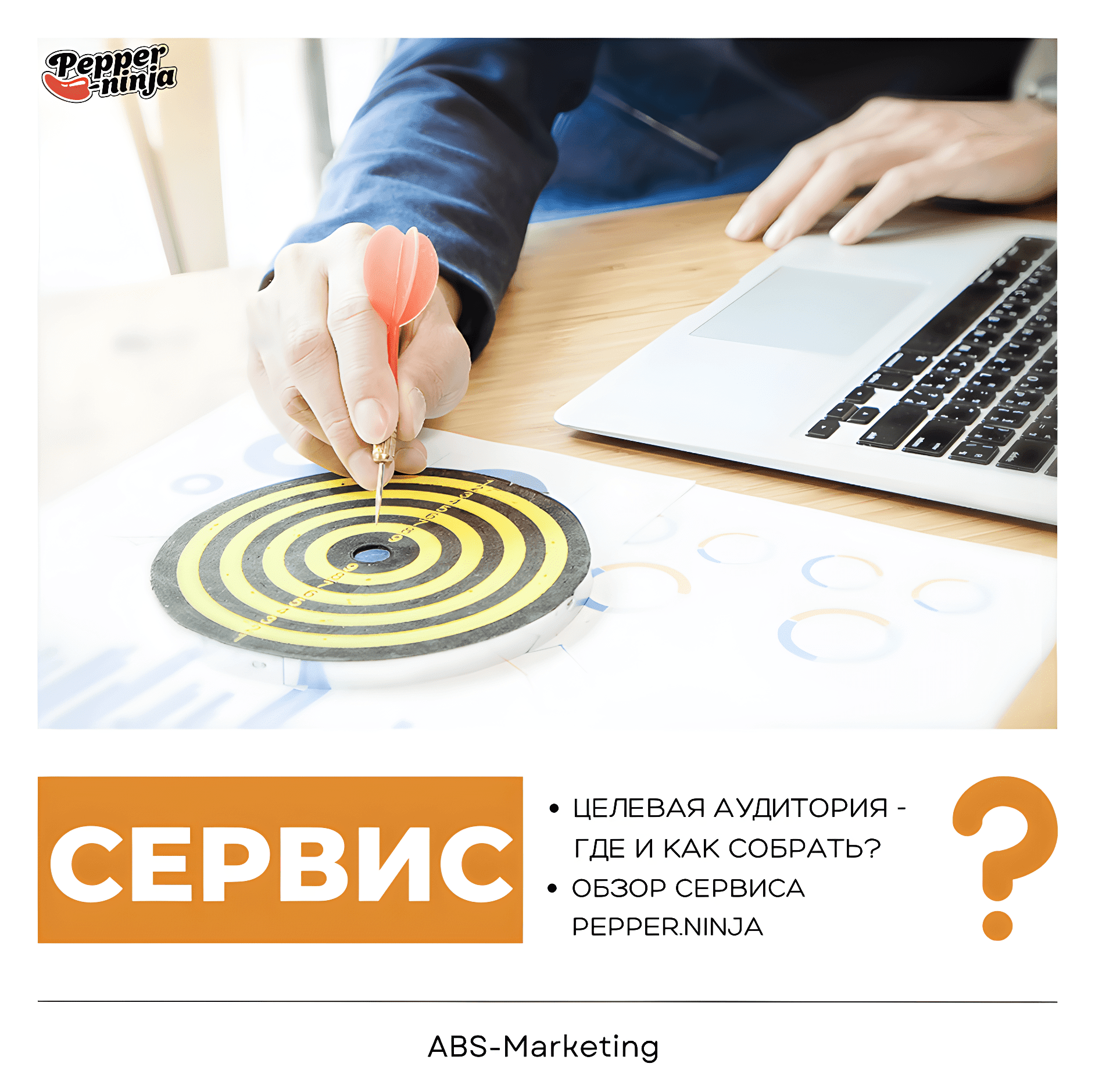 Pepper.Ninja: сбор целевой аудитории для ретаргетинга